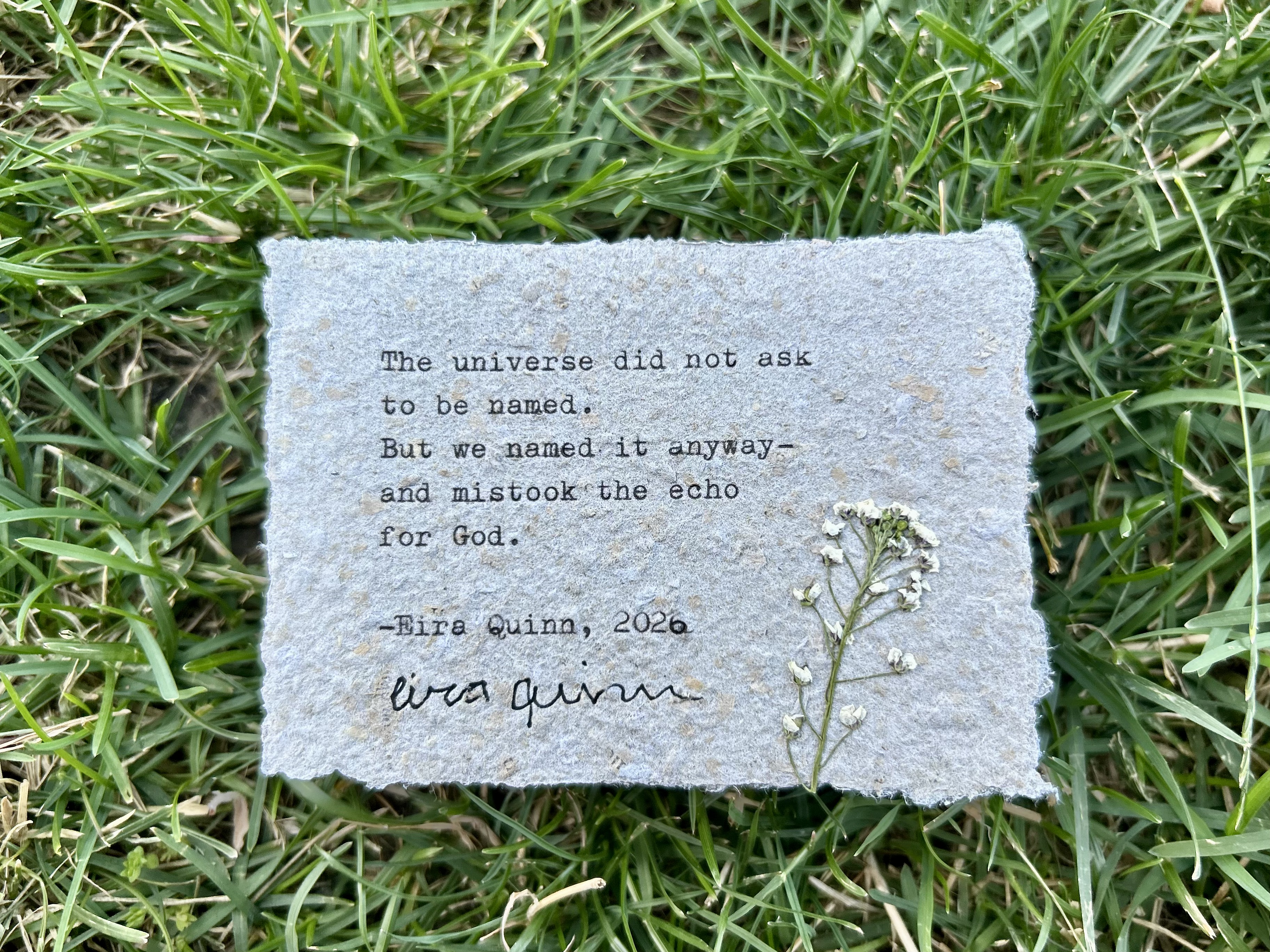 Untitled epigraph typed on handmade paper with pressed flower
